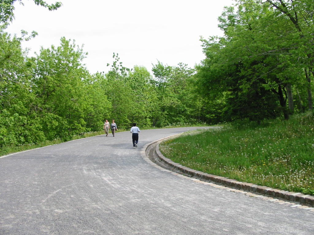 fig_015.jpg